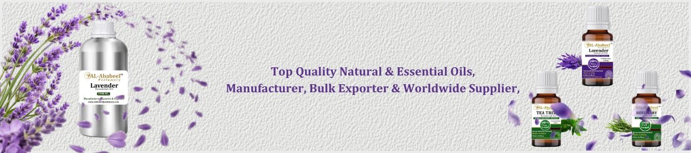 whatsapp image 2026 02 28 at 13.04.37